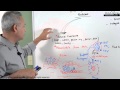 Immunology Lecture 16 - Type IV Hypersensitivity Reactions