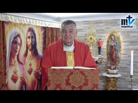 "Confía Siempre en el Sagrado Corazón" | Homilía, Protomártires de la Iglesia Romana | P. Santiago M
