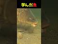 一瞬の判断