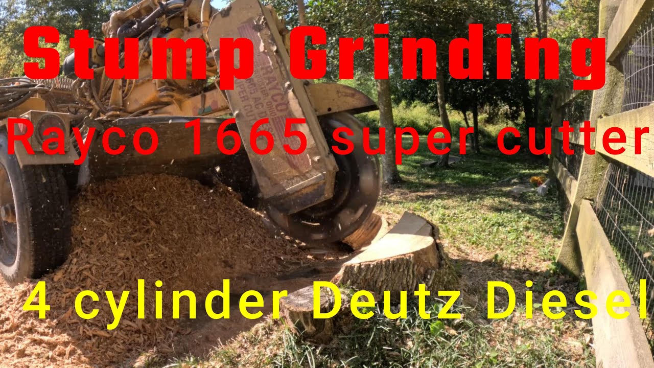 Stump Grinding Rayco 1665AC - YouTube
