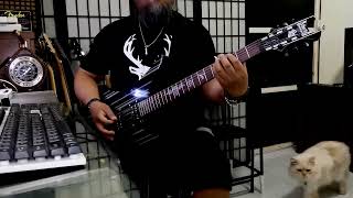 By the Light - Obituary (Guitar cover )