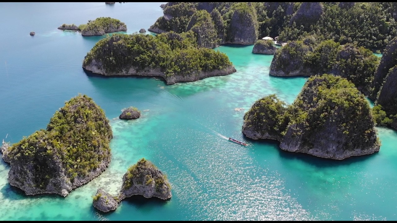 FREEDIVE PRAHA: Raja Ampat (listopad 2024) - YouTube