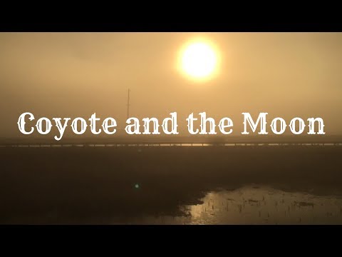 Coyote and the Moon - Hezza Fezza prod. Mr Jones