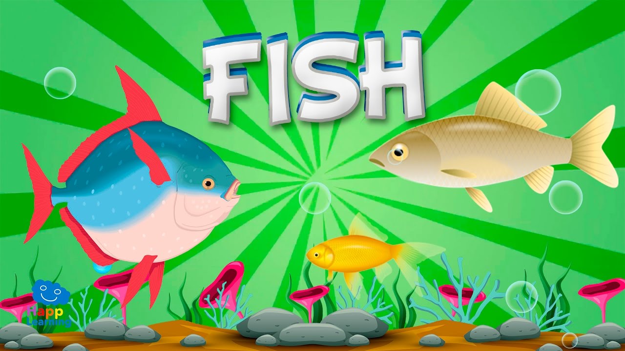 6 класс русский язык рыб. Рыбка на английском. Fish for Kids. Fish английский языки. Рыбы видео для детей.