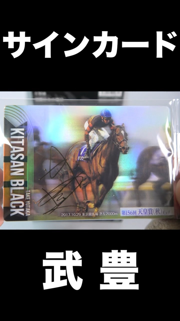 Thoroughbred Horse Collection Twin Wafers Horse Racing Card