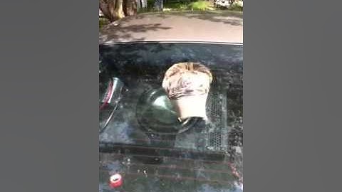 2000w eclipse titanium sub