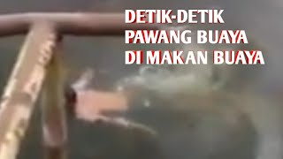 DETIK-DETIK PAWANG BUAYA DI MAKAN BUAYA