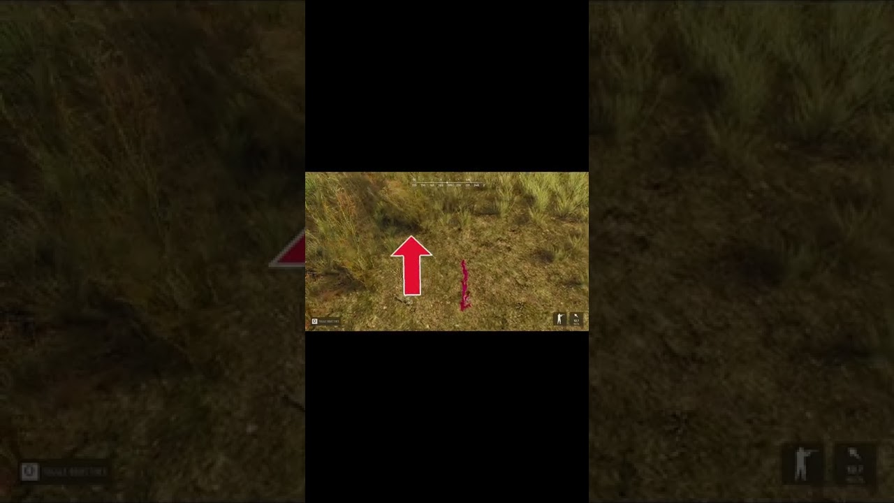 Как отслеживать как профессионал в Way Of The Hunter