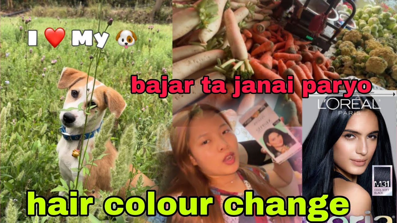 HAIR COLOUR CHANGE 🤭?Bajar ta janaii paryo🥦🥬