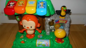 Musical and light up toy. Vtech learn and dance interactive zoo.