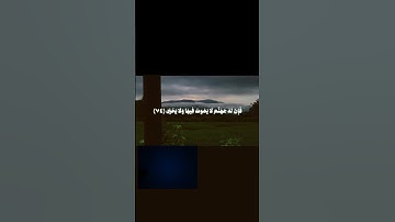 تلاوة خاشعة للشيخ محمد ايوب # القران الكريم