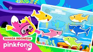 Kumpulan Petak Umpet dengan Keluarga Hiu | Kumpulan Kartun Anak Baby Shark | Pinkfong Indonesia by Lagu Anak - Baby Shark Pinkfong Indonesia 617,371 views 2 months ago 33 minutes