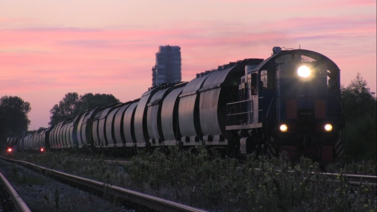 ТЭМ2-7043 с маневровым составом / TEM2-7043 with a freight train