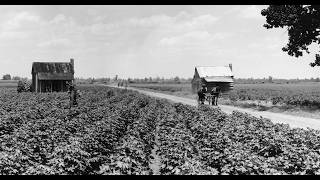 40 Cotton, Debt, and Survival: Texas Farming After the Civil War How Sharecropping And Tenant Farming Kept Farmers Poor