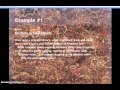 Examples of Onomatopoeia in Poetry