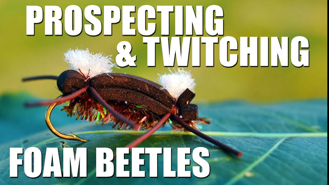 Fly Fishing) Prospecting & Twitching Big Foam Beetles in Trout