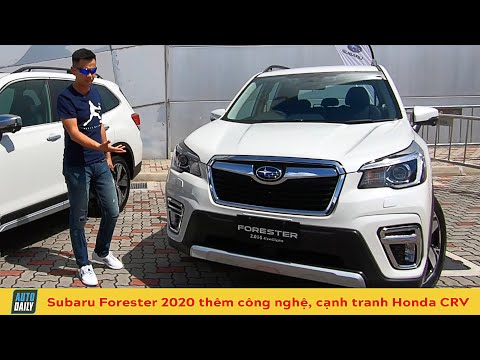 Video Đánh giá xe Subaru Forester 2020: thêm hàng tá công... - youtube