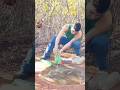 vídeo incrível 🤩🙏#lindo #natureza #fauna