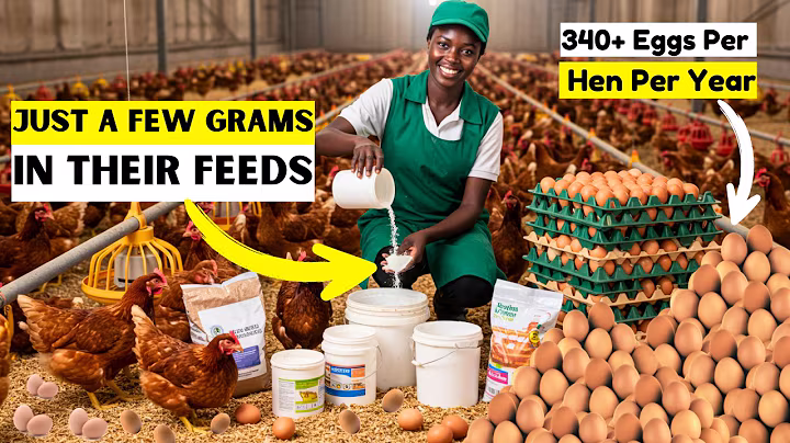 Hens Started Laying Non Stop After Adding THIS Kitchen Powder in Their WATER