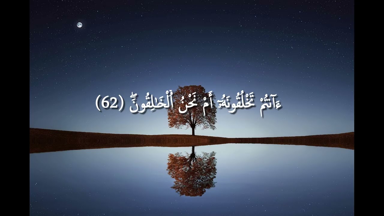 سورة الواقعة | Surah Al-Wāqi‘ah – الآيات 61–65 | أأنتم تخلقونه أم نحن الخالقون | Quran Recitation
