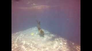 Duck Dive And Swim