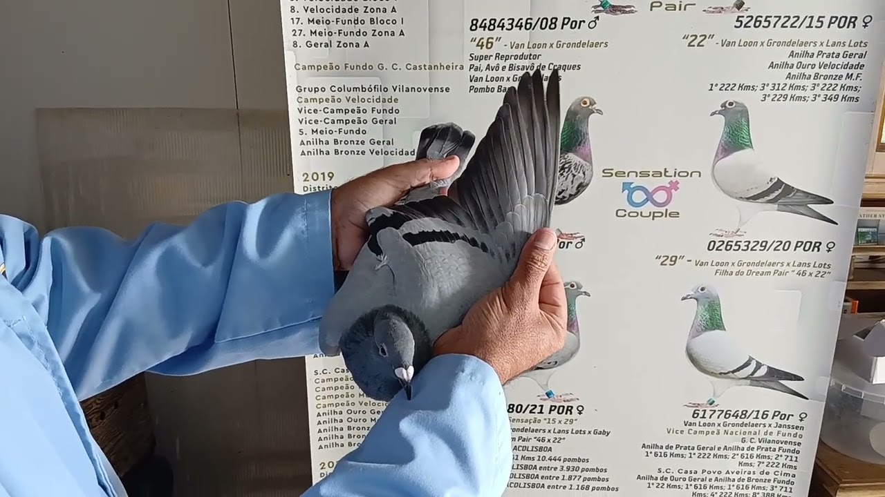 3 de dezembro de 2025