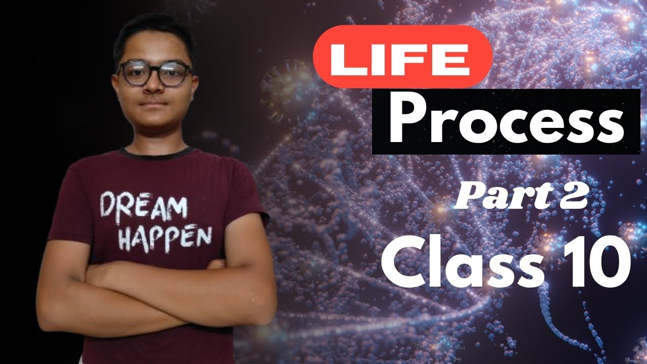 ch 5 life process class 10 CBSE NCERT part 2 - YouTube
