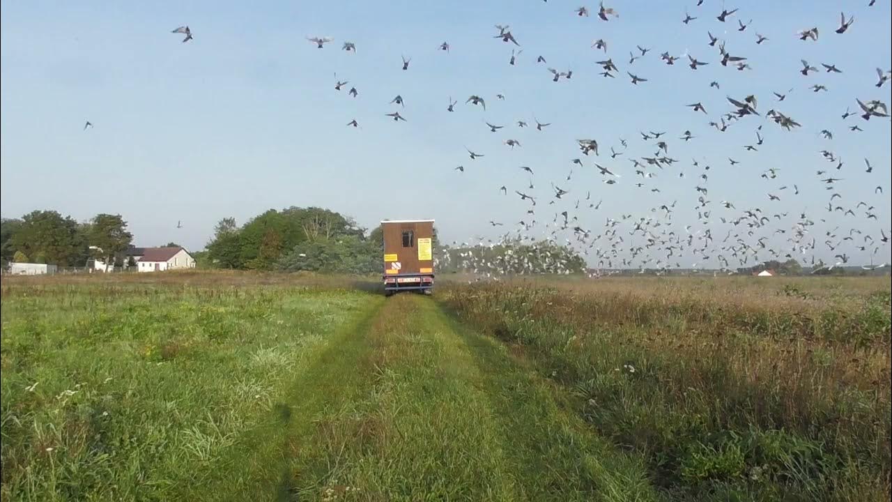 Pław 24.09.23r. YouTube