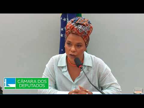 COMISSÃO DA AMAZÔNIA E DOS POVOS ORIGINÁRIOS E TRADICIONAIS