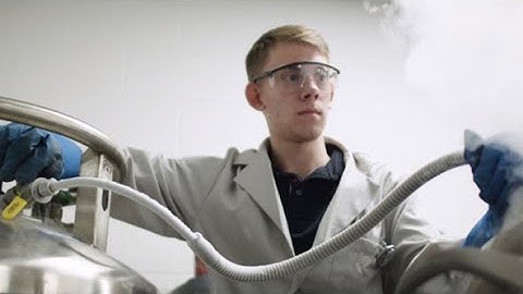 Union College, Ion-Beam Analysis Laboratory