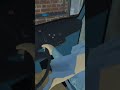 this took 1day to make
