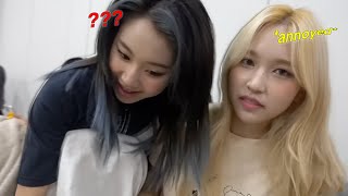don&#39;t put mina and chaeyoung in the same room
