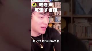 【ぴこ】鳴き声 可愛いすぎ猫【DaiGo切り抜き】#Shorts