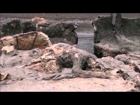 15 წელი ევროპის, მან აირჩია islam და წავიდა hajj