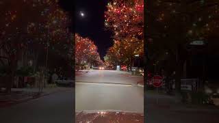 INCARNATE WORD UNIVERSITY EN SAN ANTONIO, TEXAS DECORA SUS ÁRBOLES CON FOQUITOS NAVIDEÑOS CADA AÑO.