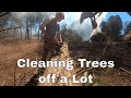 Cleaning Trees off a Lot