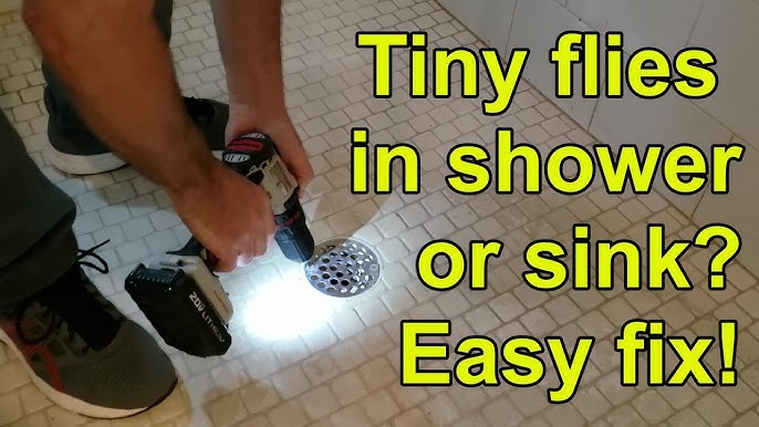 How to Get Rid Of the Pesty Drain Flies in your Shower and Kitchen in 5  Simple Steps!