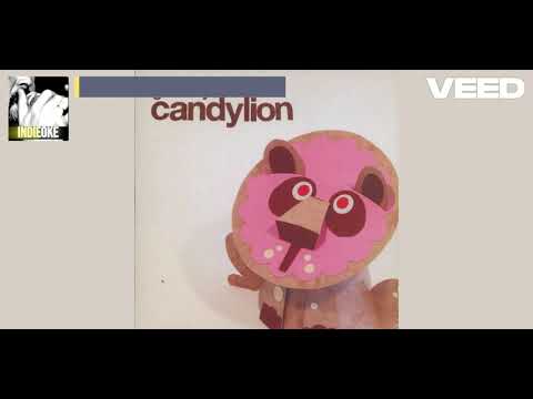 Gruff Rhys - Candylion [karaoke] - YouTube