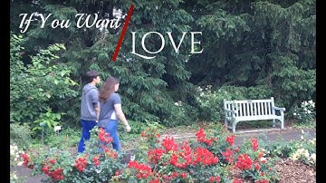 If You Want Love - ASL music video