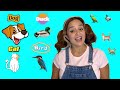 تعليم اسماء الحيوانات للأطفال باللهجة اللبنانية Arabic Learning For Kids Animals Lebanese Accent