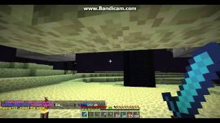 Zoom - Minecraft Ender Men Farming