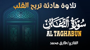 سورة التغابن (كامله) تلاوة عذبة تريح القلب ❤ بصوت مريح للقارئ | طارق محمد Surah Al-Taghabun