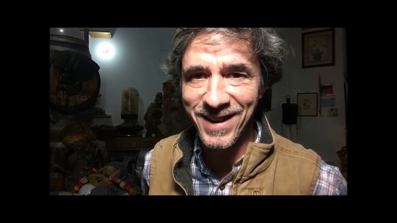peter caine dog trainer youtube I'm not Crazy you are