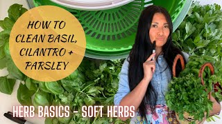 Herb Basics: Wash + Store Soft Herbs | How to Clean Basil, Cilantro and Parsley