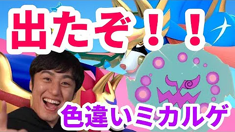 ポケモン剣盾 出たぞ ダイパリメイク前に色違いミカルゲ探し 2601 Mp3
