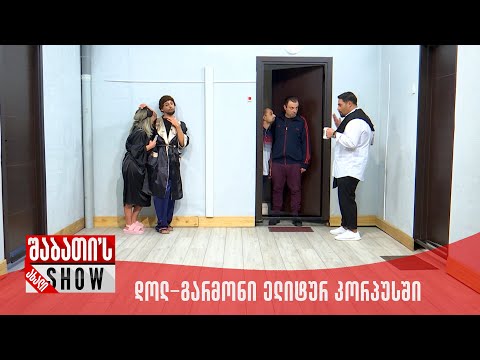 ახალი შაბათის შოუ - დოლ გარმონი ელიტურ კორპუსში