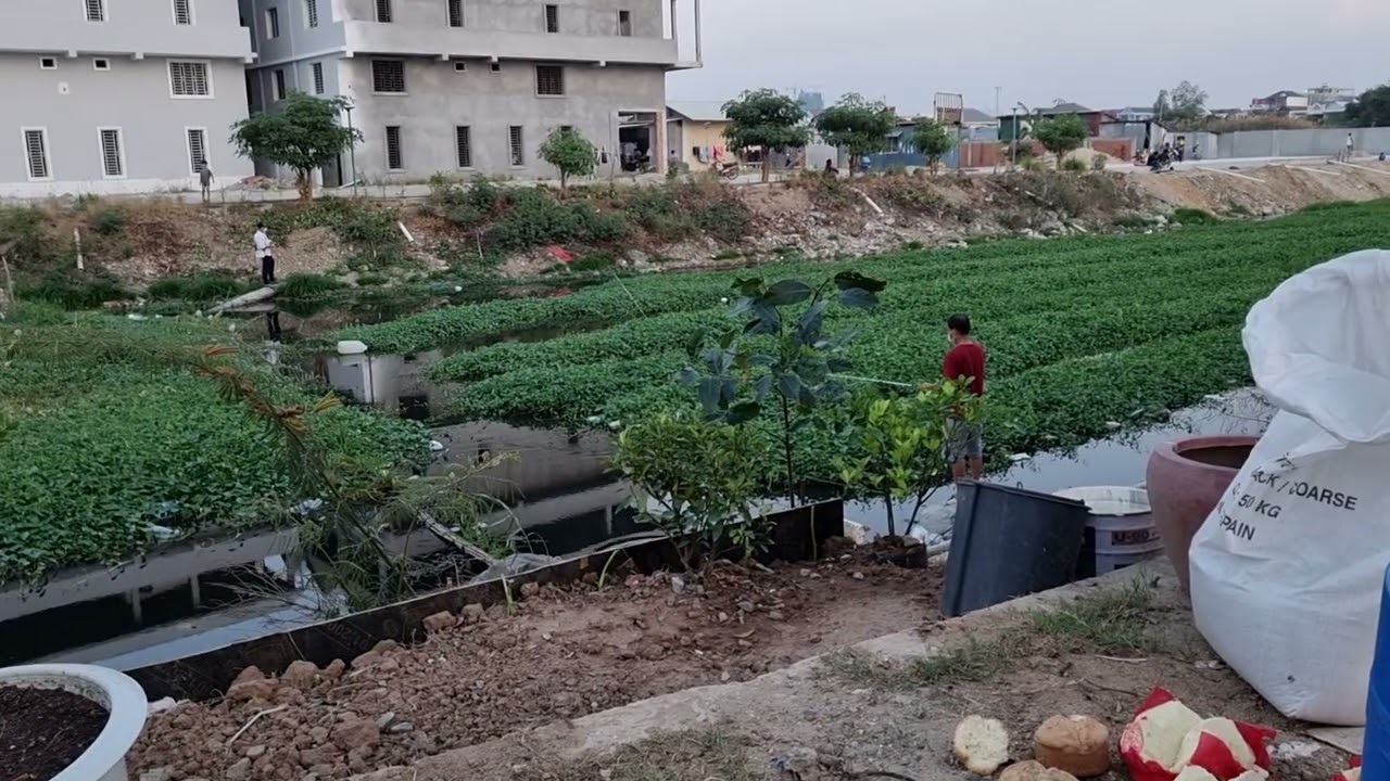 Meet Uncle Casting Snake Head Fish