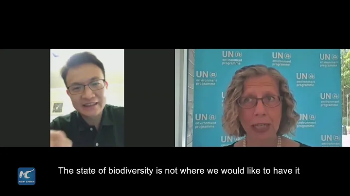 China’s global stewardship key to revitalize biodiversity conservation: UNEP