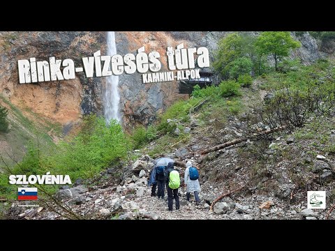 Rinka-vizeses