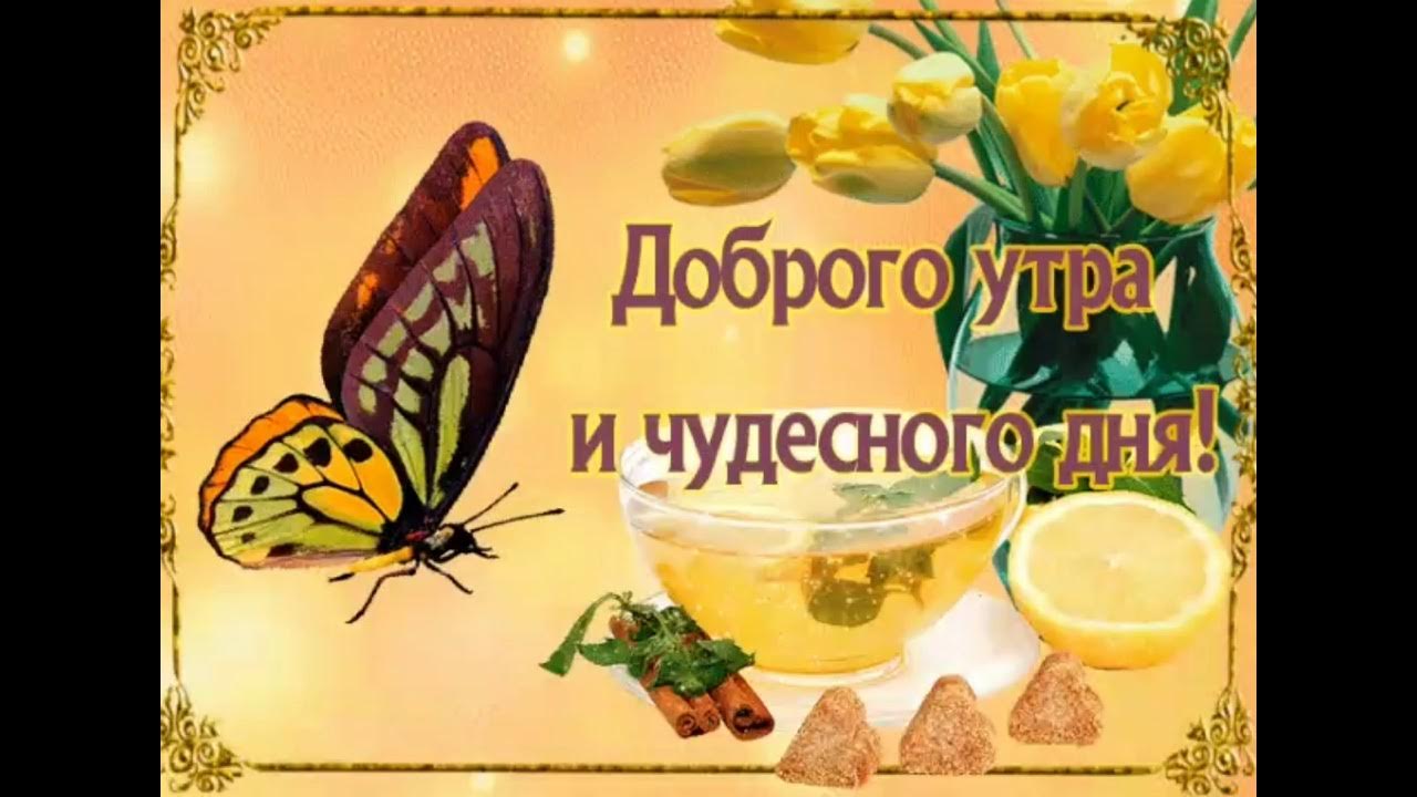 Доброе утро позитив гифки. Пожелания с добрым утром прикольные. С добрым утром позитивные пожелания. С добрым утром с пожеланиями здоровья. Открытки с добрым утром прикольные.